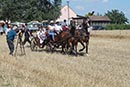 16. Őseink Zenéje 2018. január 20. Szenttamás